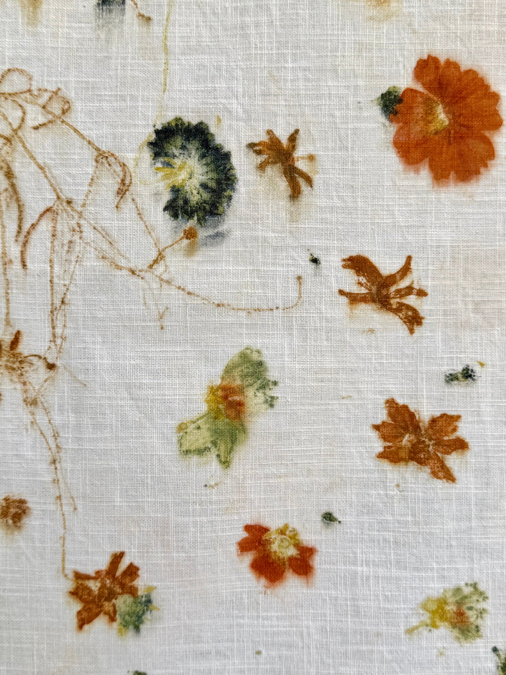 eco-printed linen fabric - close-up of a scabiosa flower print