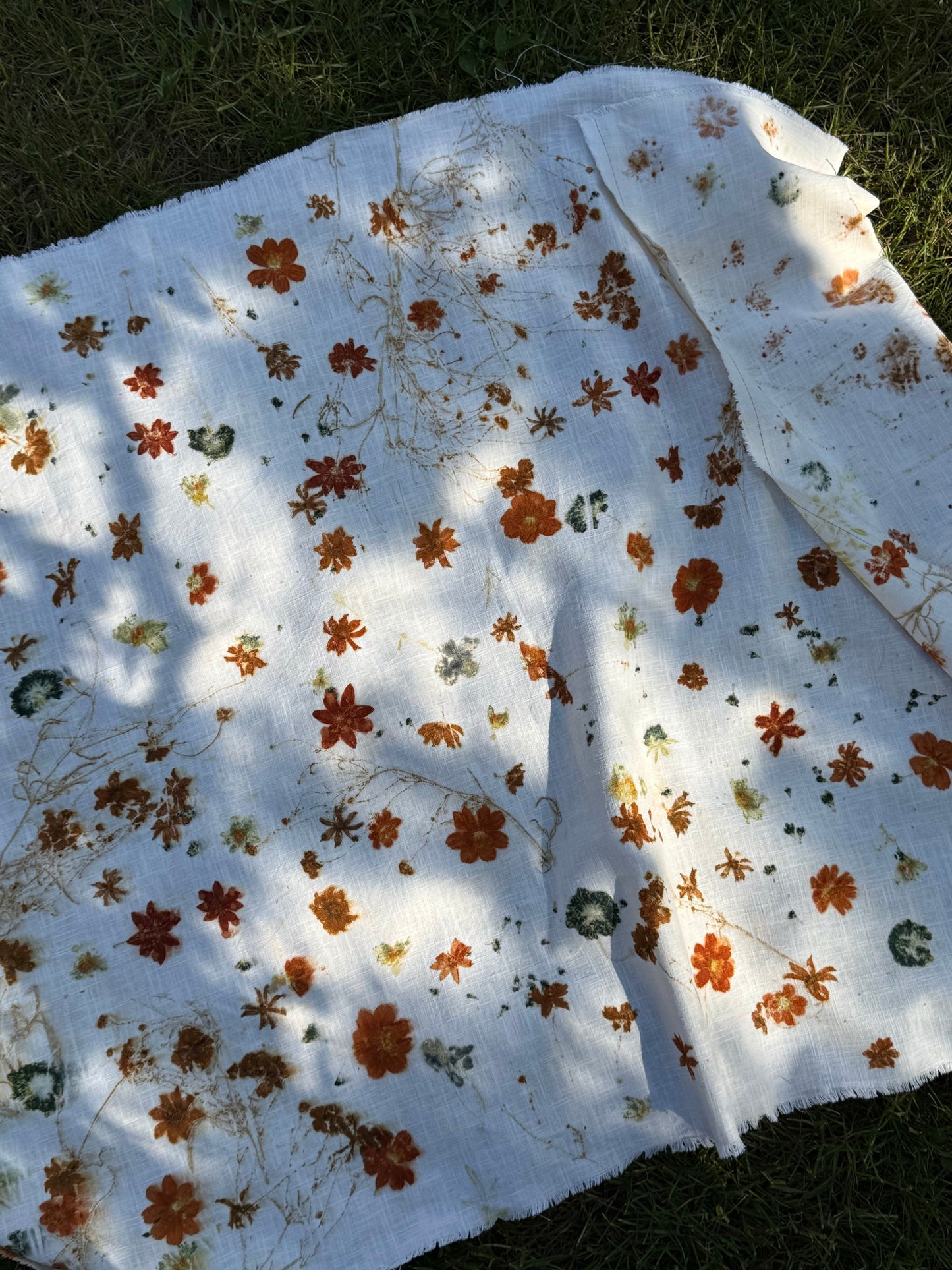 Flower eco-print: cosmos, coreopsis, bidens, scabiosa on linen