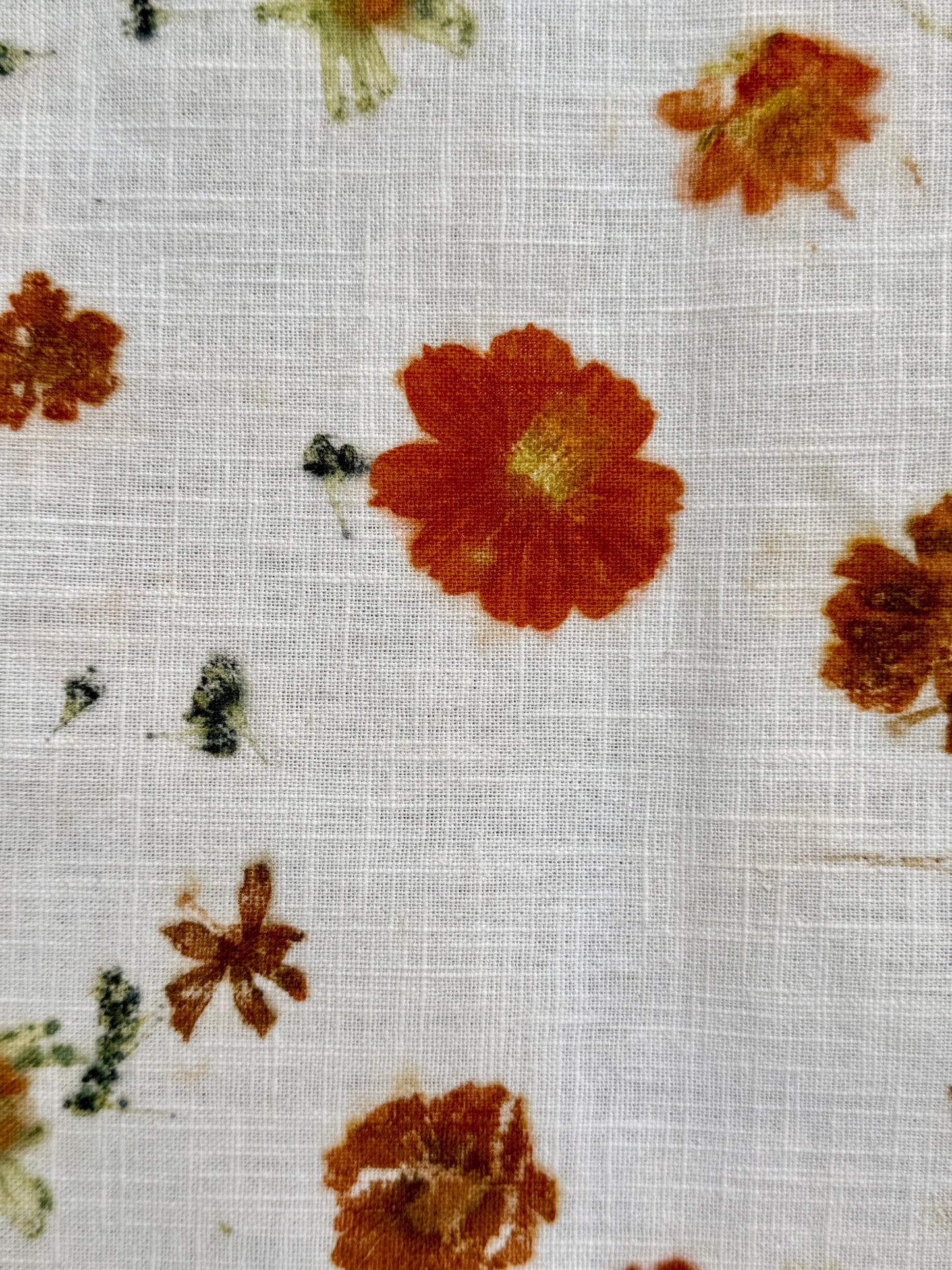 eco-printed linen fabric - close-up of a cosmos sulphureus flower print