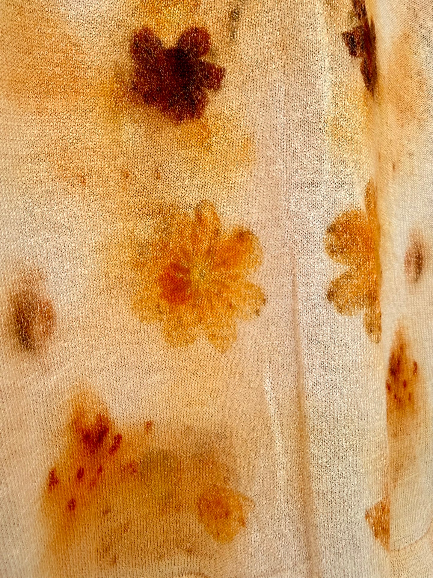 COSMOS_COREOPSIS, L