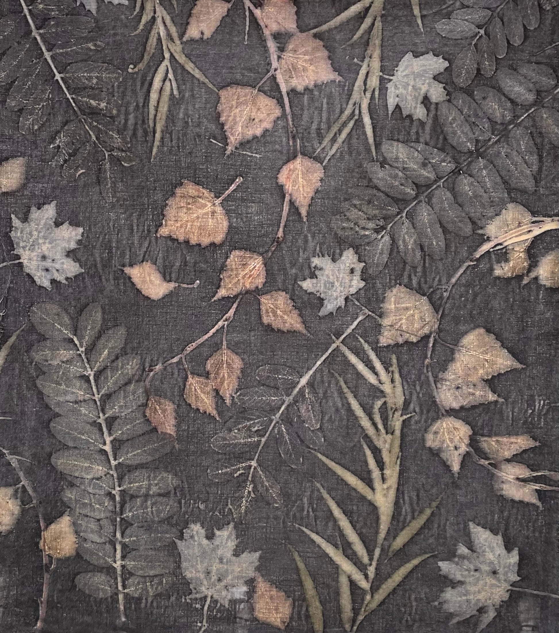 Textile with leaf pattern eco-printed  on cotton fabric with a monochromatic black background 