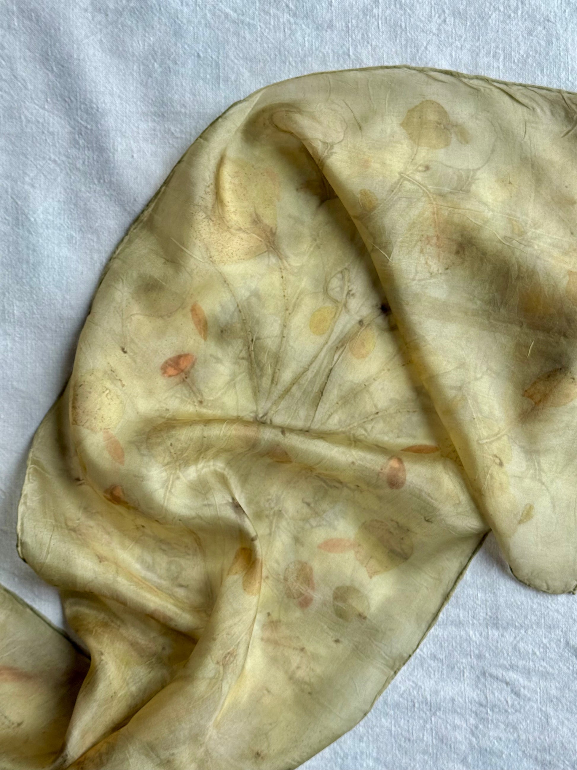 goldenrod dyed silk scarf with eucalyptus eco-print on a white background by DOT 'N' POT