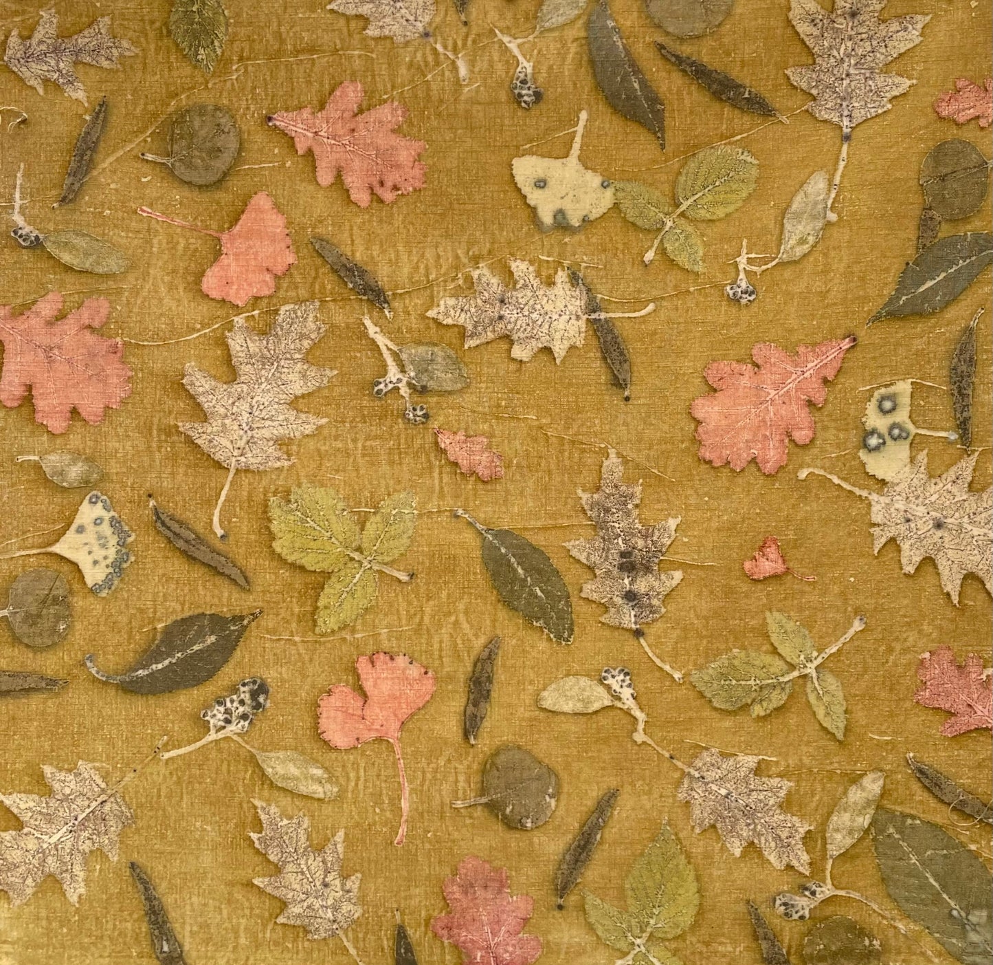 Eco-printed linen fabric with colorful leaves and light green background, naturally dyed
