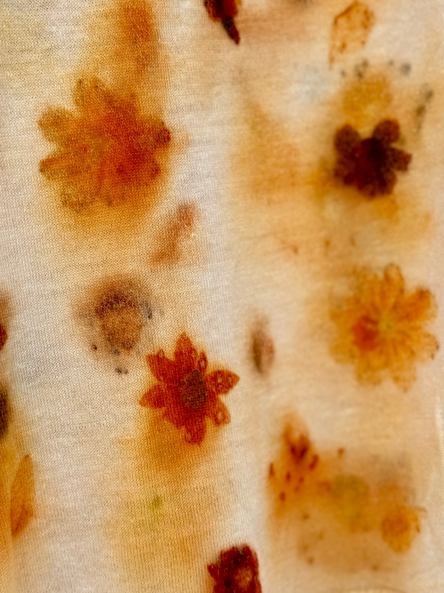 COSMOS_COREOPSIS, L