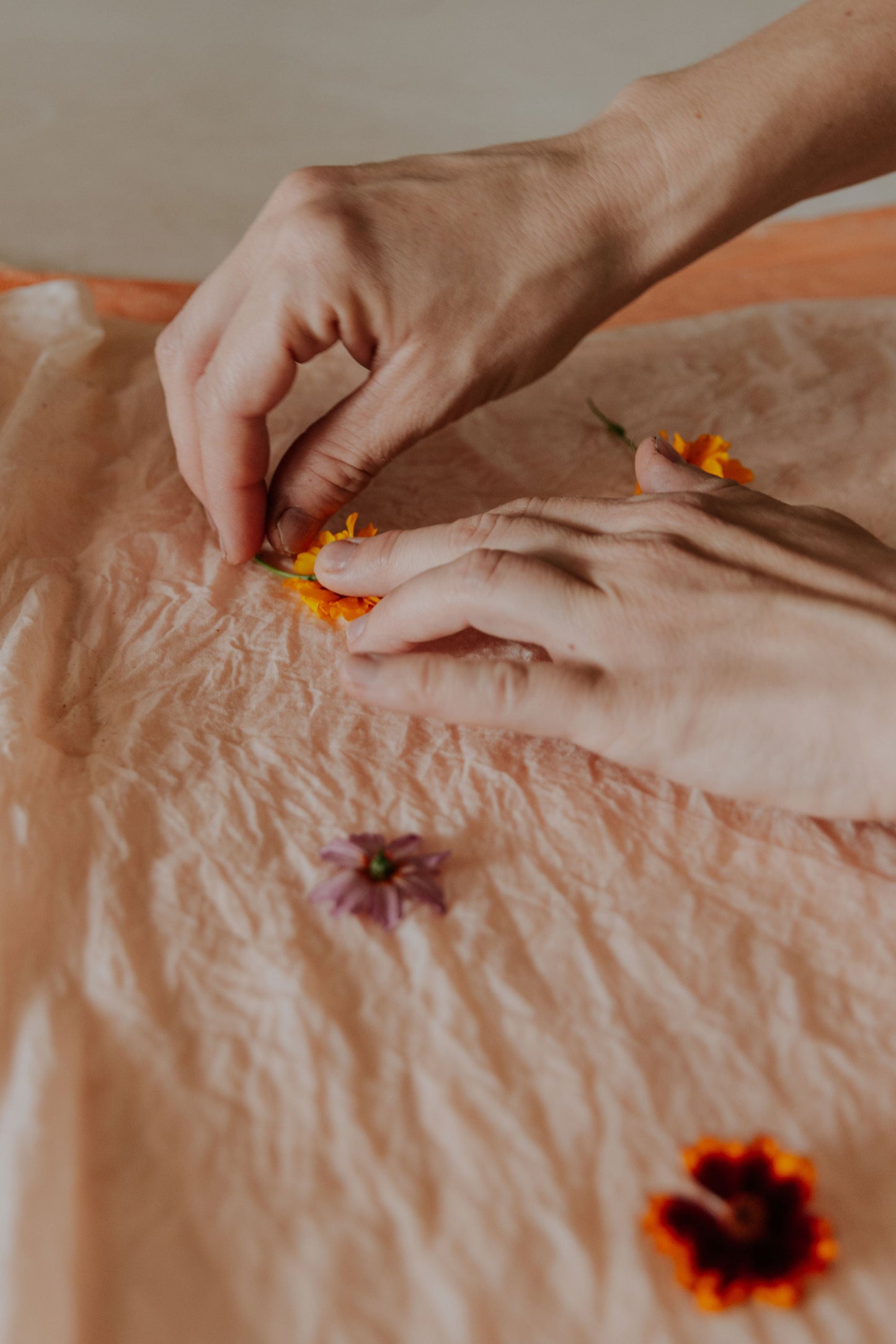 Ildikó placing flowers for eco-printing on cotton fabric in her DOT 'N' POT natural dye studio