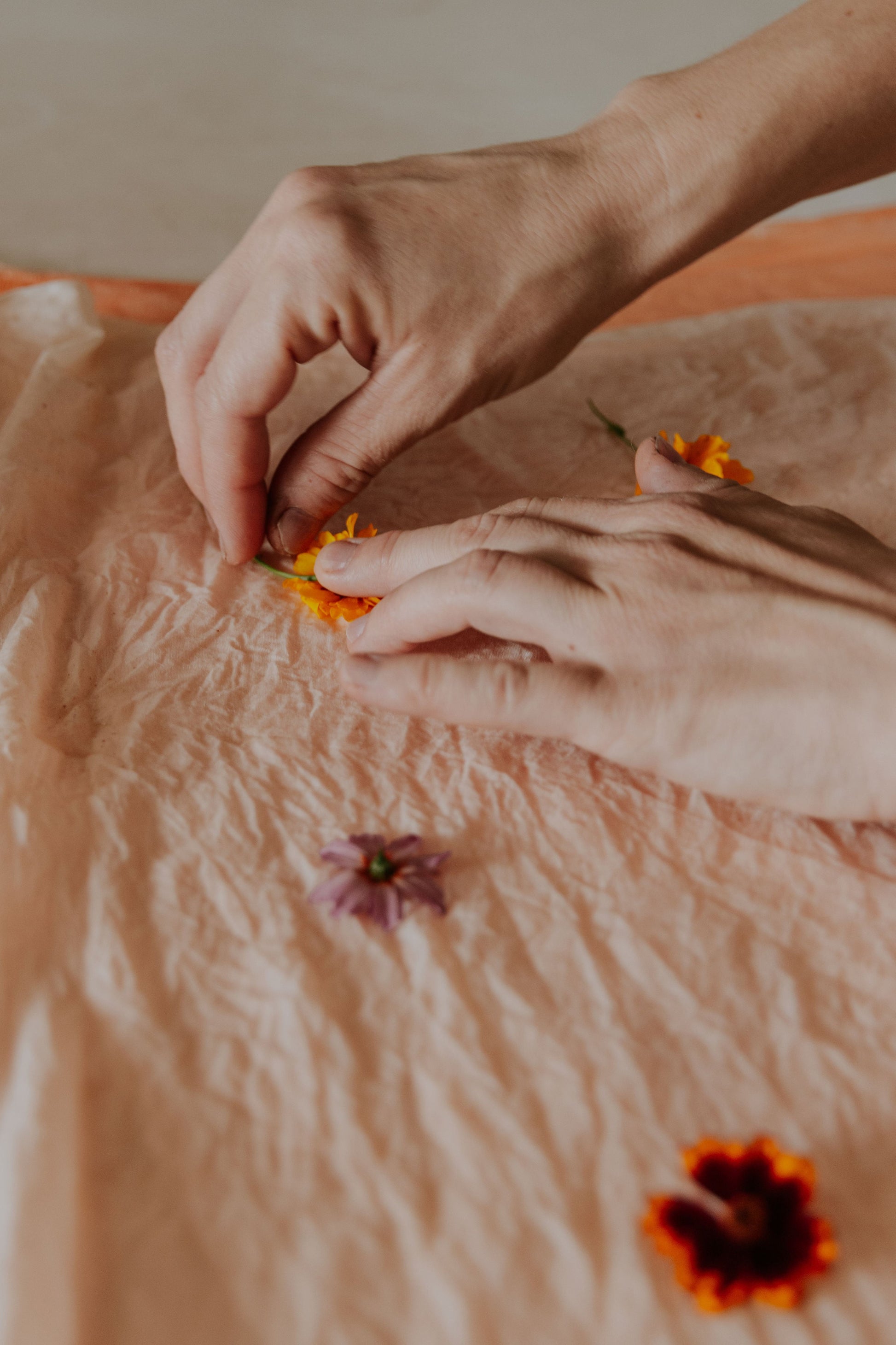 Ildikó placing flowers for eco-printing on cotton fabric in her DOT 'N' POT natural dye studio